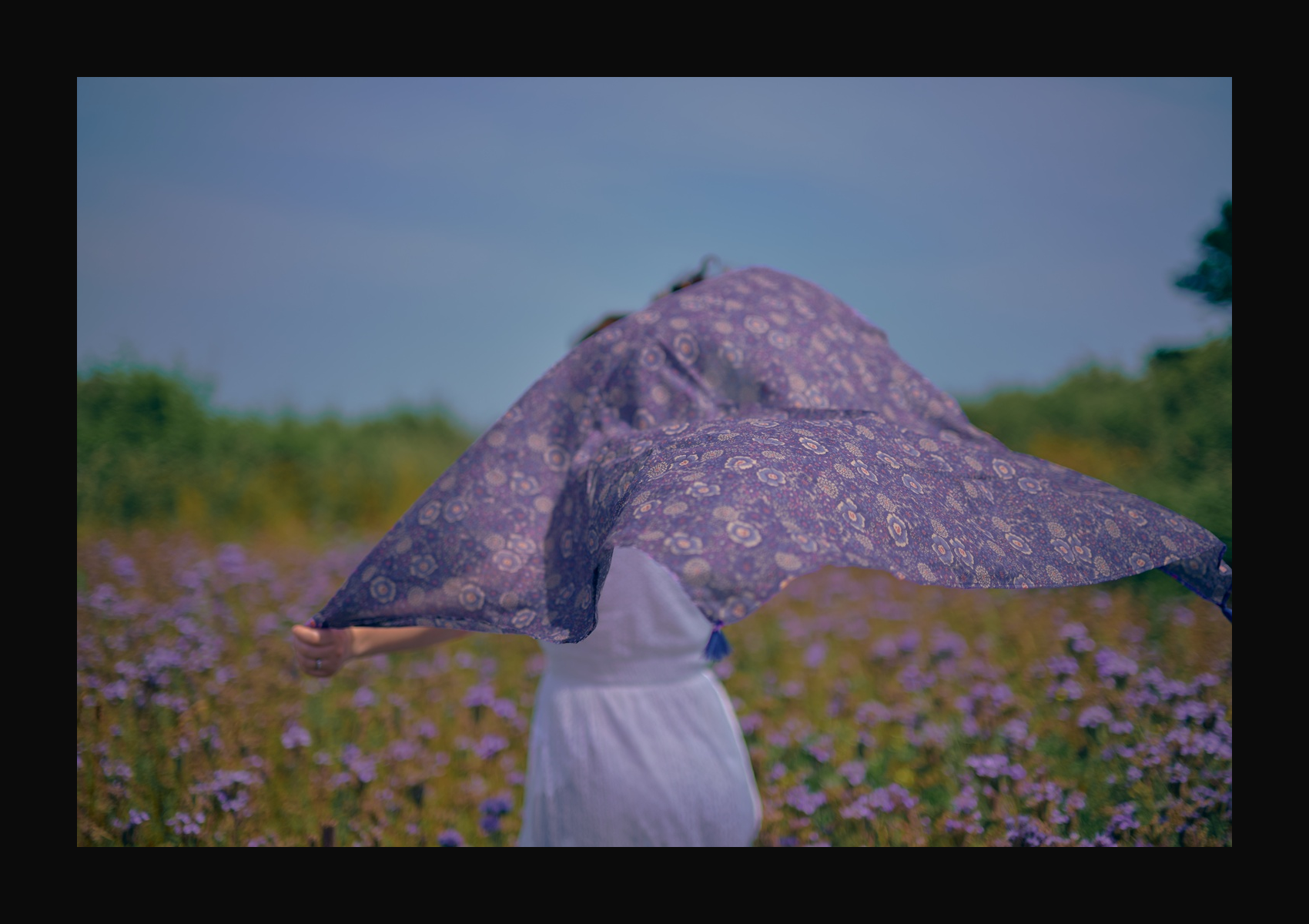 Papa Pique et Maman Coud・
