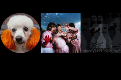 Ysn・Ditter・Vioflesh