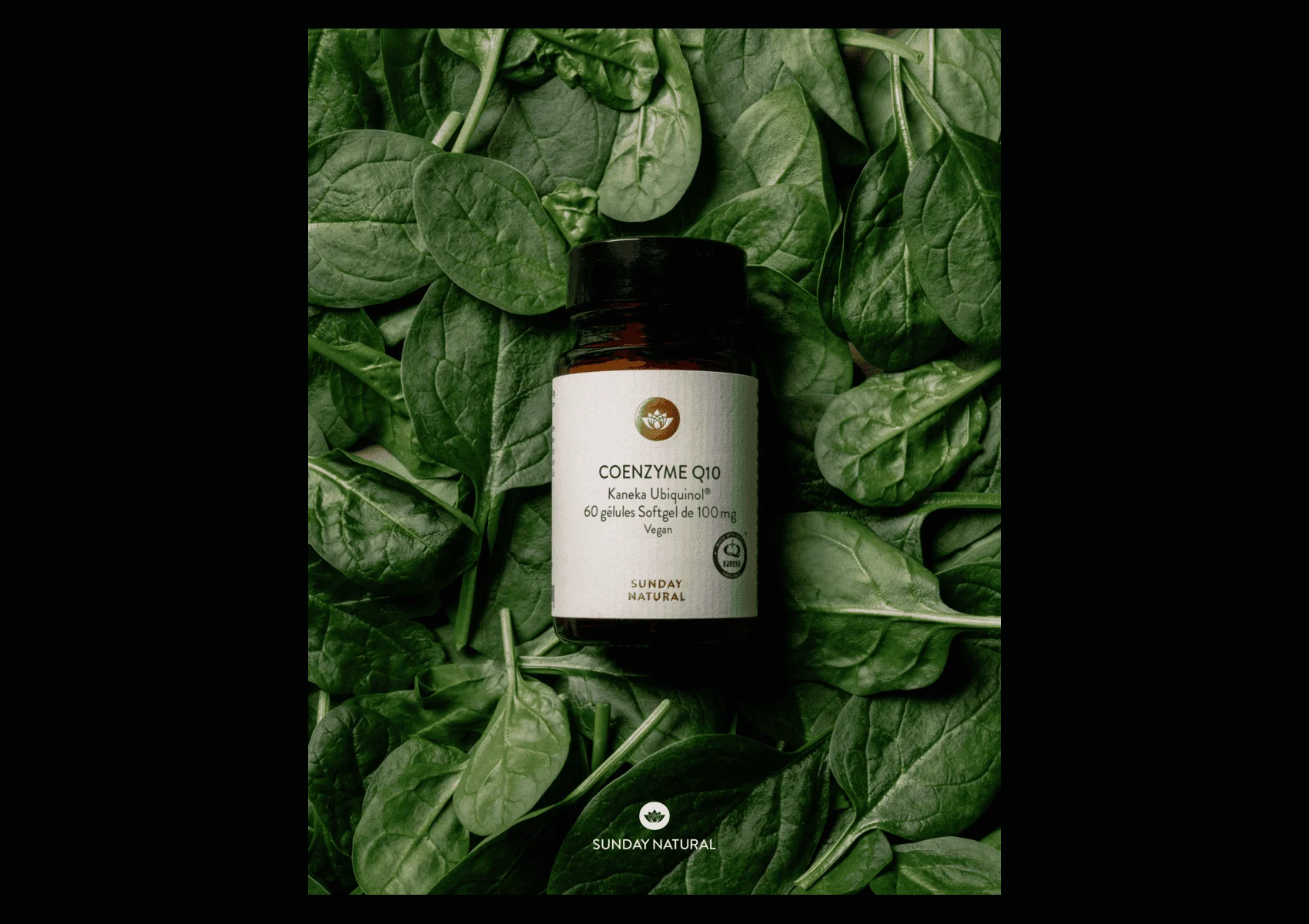 Sunday Natural・Coenzyme Q10