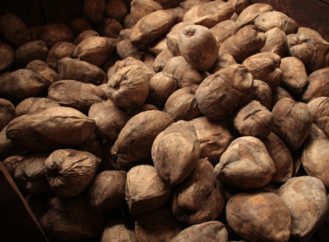 L’huile vierge de noix de coco de Sao Tomé