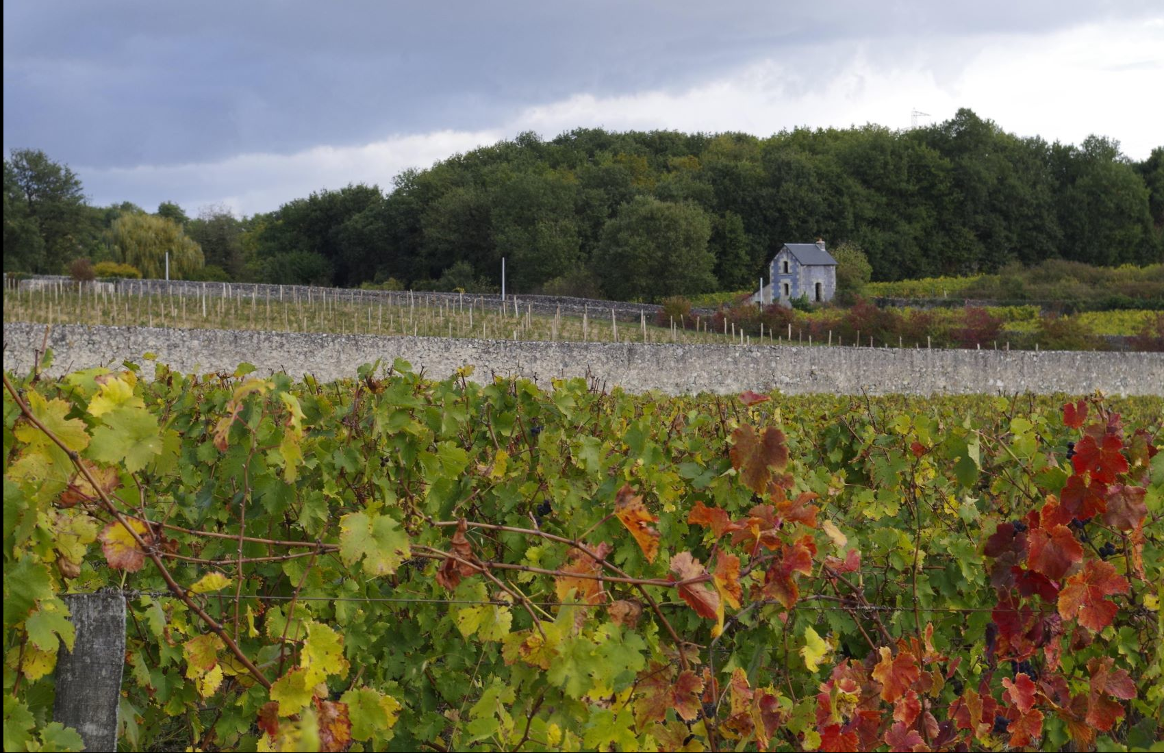 DELIGEROY・Crémant de Loire