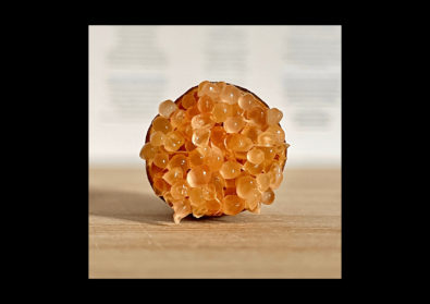 Citron Caviar・Fruit at Home