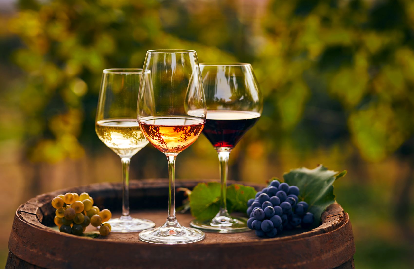 Foire aux vins・Grande Épicerie de Paris & Biocoop