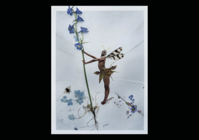 Tim Walker&rsquo;s Fairyland・Love and Legends
